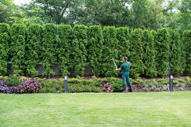 Best Tree and Shrub Care  in West Point, GA